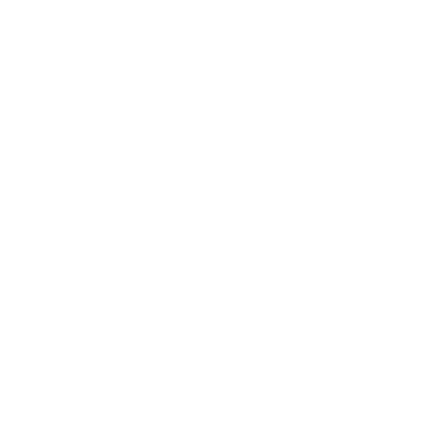 Saint gobain