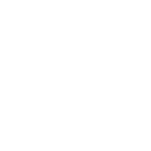 allen solly